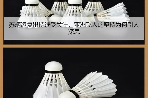 苏炳添复出持续受关注，亚洲飞人的坚持为何引人深思